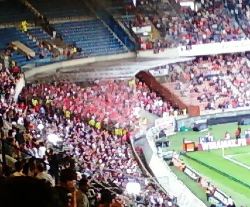 Supporters du LOSC au Parc des Princes le soir du titre de champion de France de 2011.